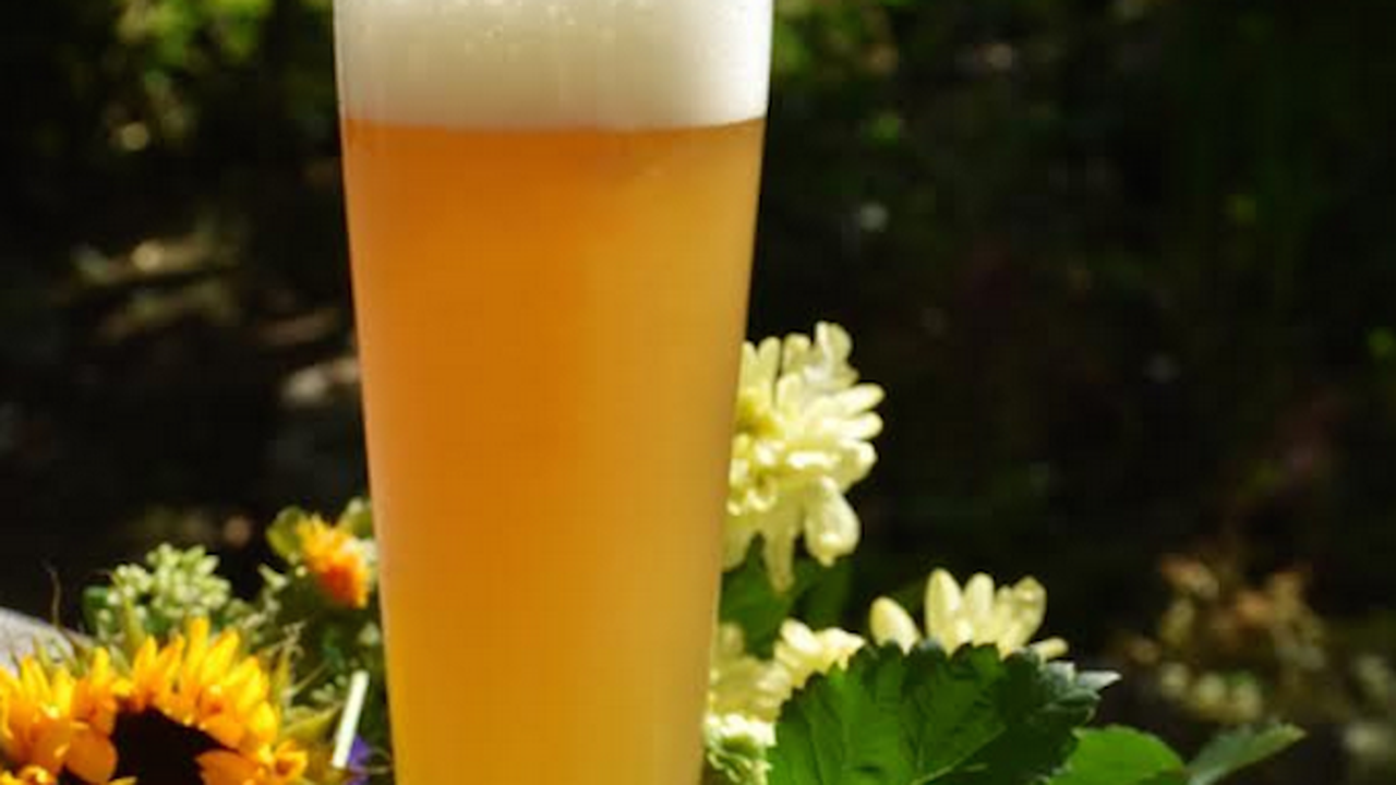 За пръв път в България изследваха съдържанието на ксантохумол в бирата