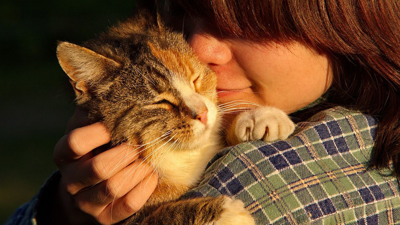 Котките възприемат стопаните си като родители