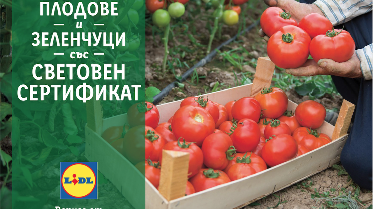 В подкрепа на родното производство LIDL предлага 100 % български розови домати и био краставици в цялата верига магазини