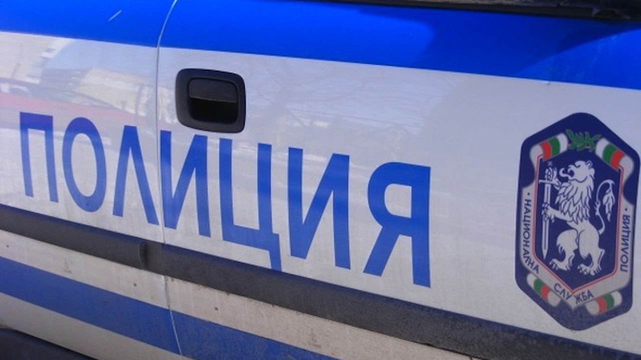 Двама за задържани след стрелба с пистолет във видинско село