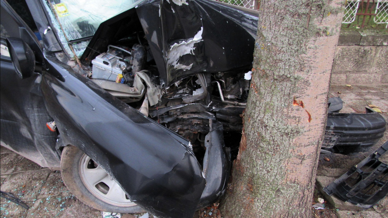 75-годишен пиян американец се заби с колата си в дърво край Павликени