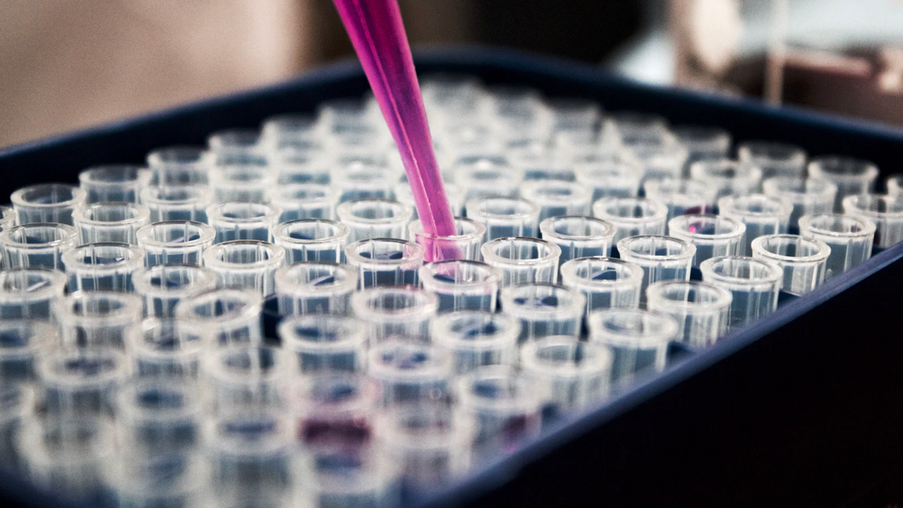 46 нови случая на коронавируса в Китай, в Южна Корея - 27