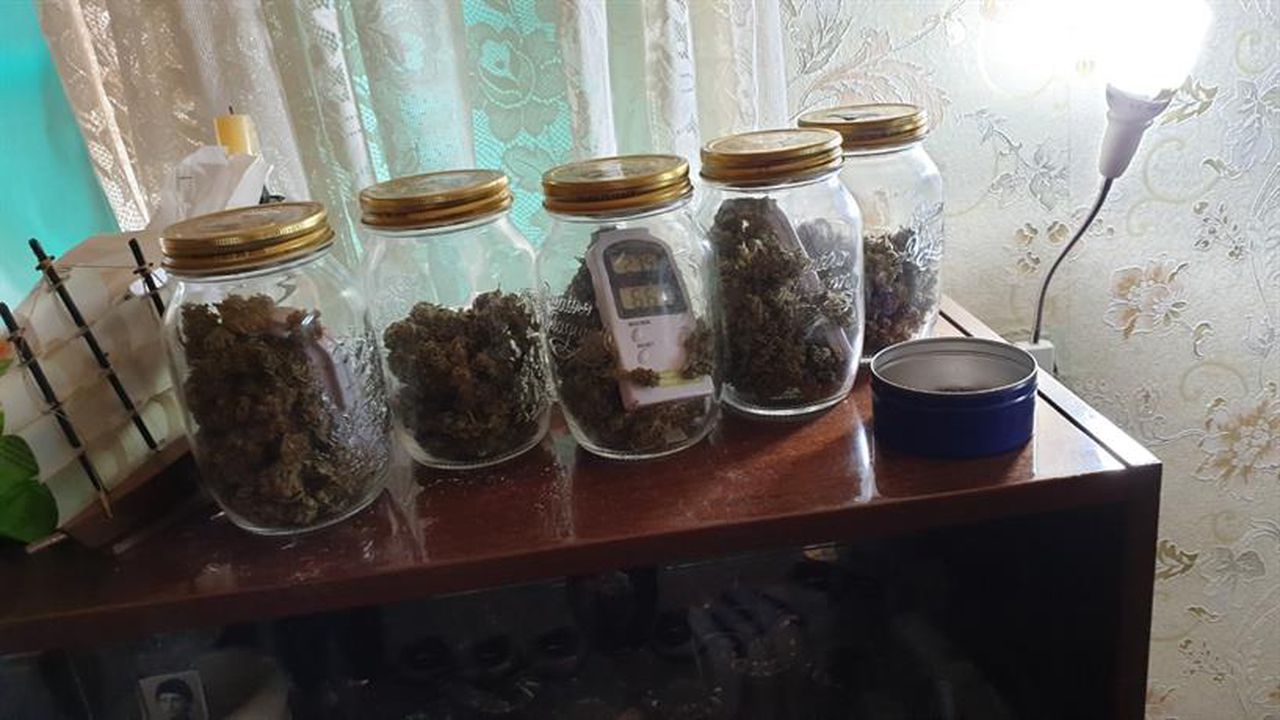 Разбиха оранжерия за канабис в къща в Лом