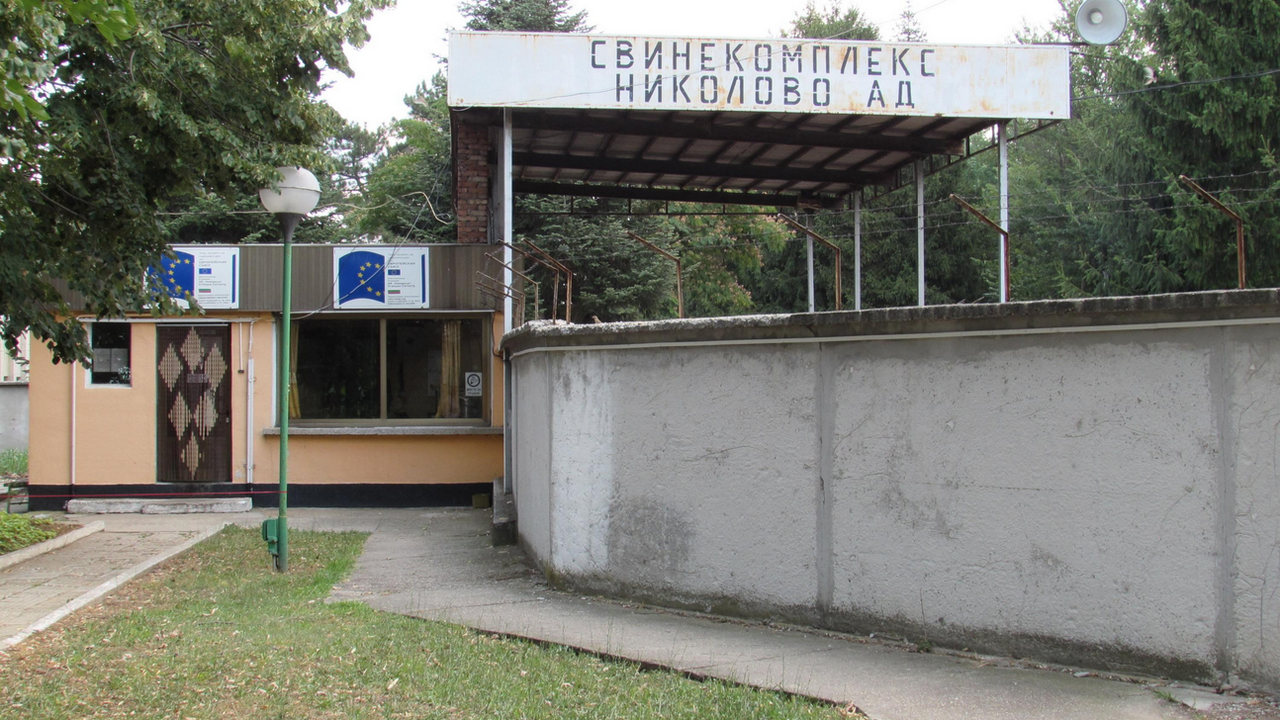 Експерт: Чумата по свинете в България е катастрофа