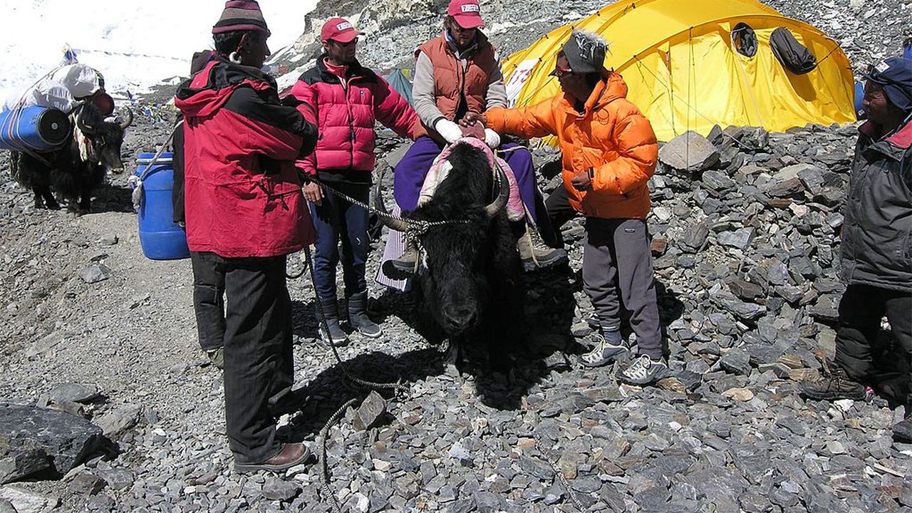 Китайска експедиция поема към  Еверест следващата седмица