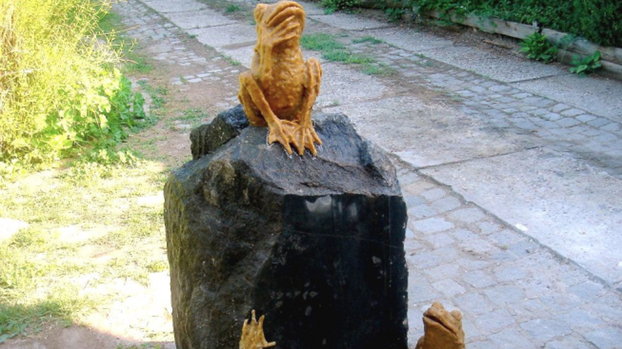 Задържаха вандал, откраднал жабката от каскадата в Плевен