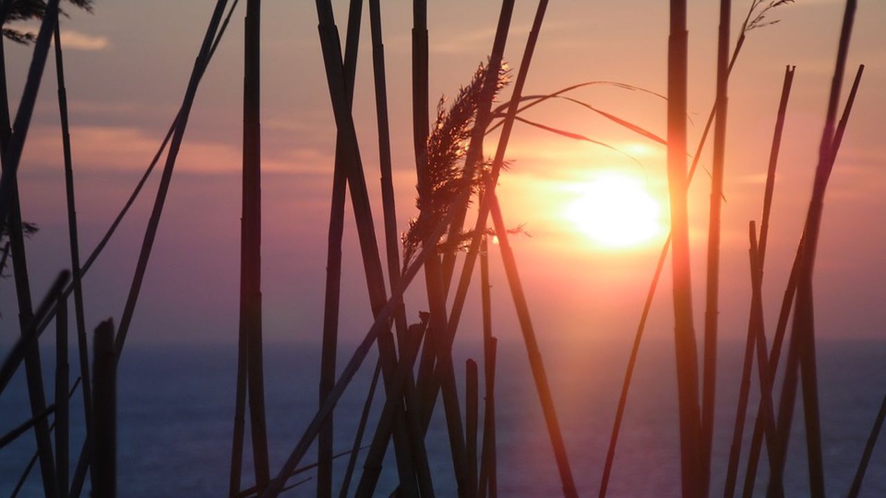 Горещите вълни и силните дъждове ще продължават по-дълго заради климатичните промени