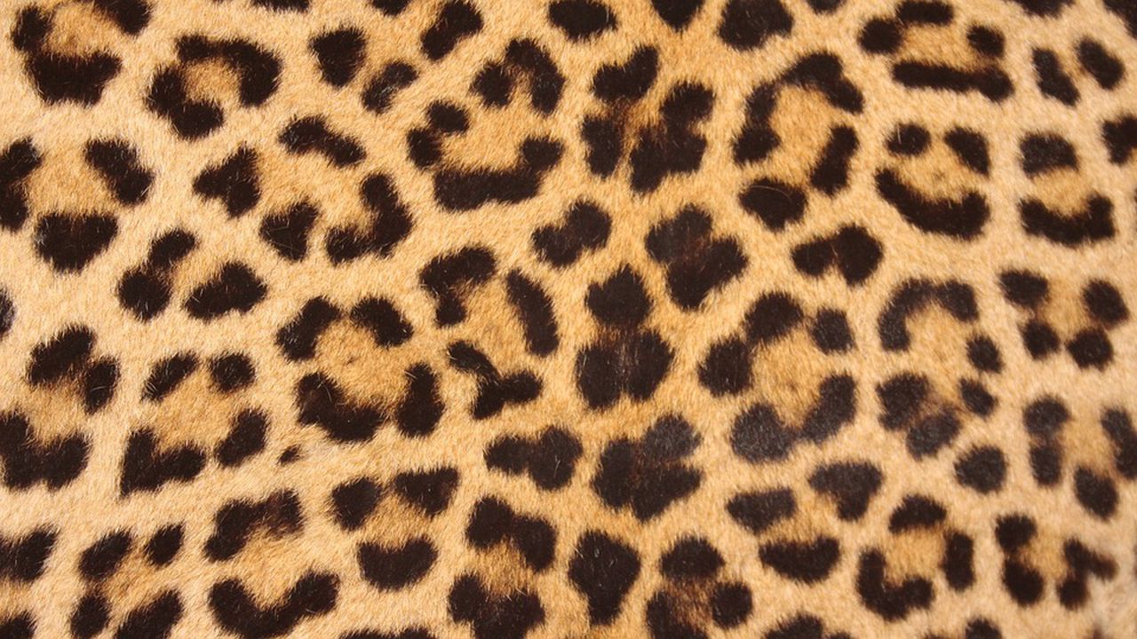 Леопардовата окраска ще бъде следващият моден тренд в мъжките прически (снимка)