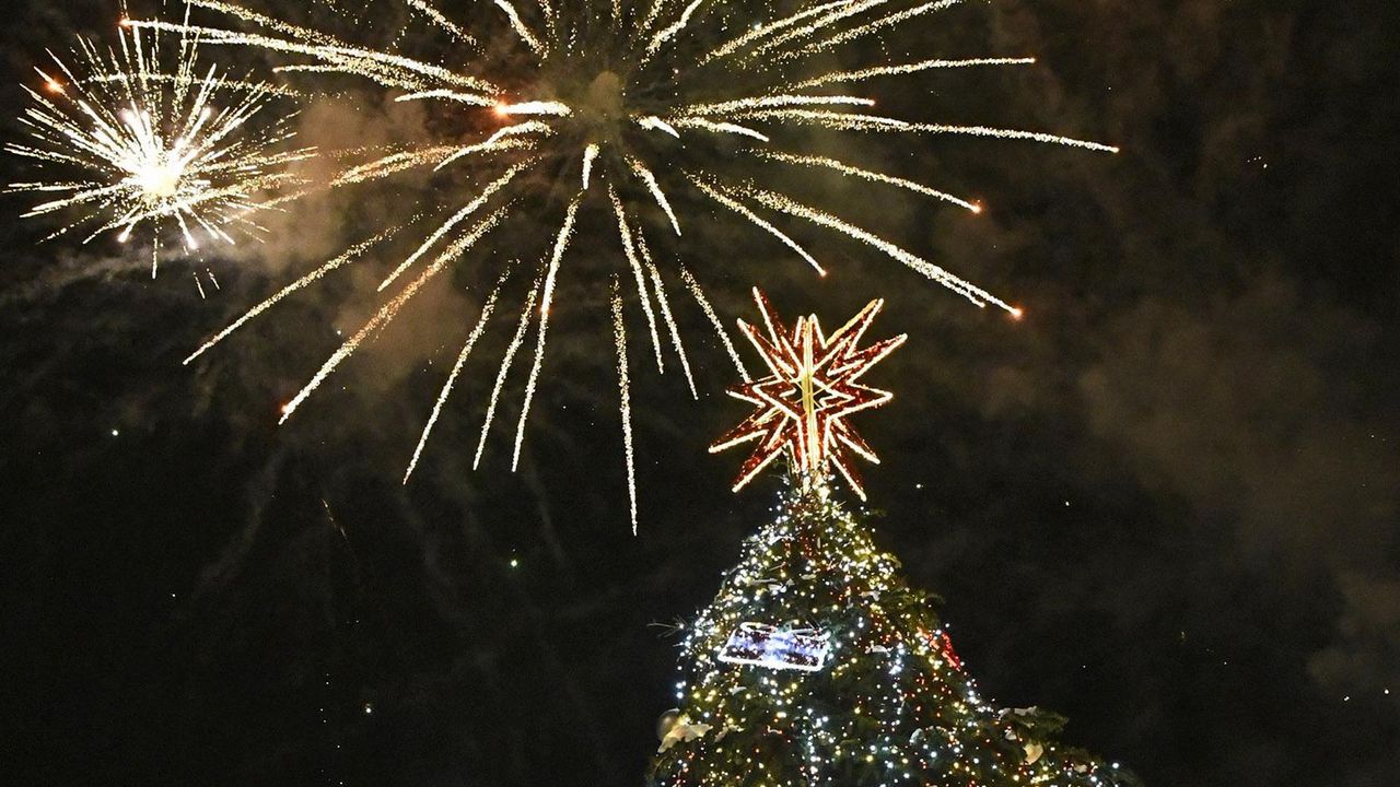 Елхата в София грейва на 1 декември