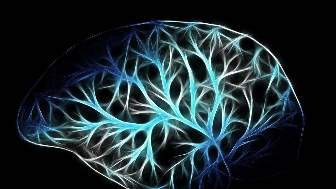 Компания на Илон Мъск ще тества интерфейс, свързващ мозъка с компютри
