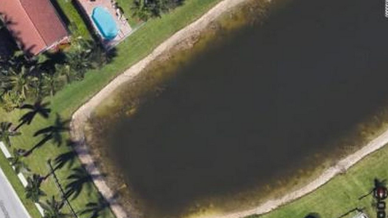 Откриха останките на мъж, изчезнал преди 22 г. благодарение на Google Earth