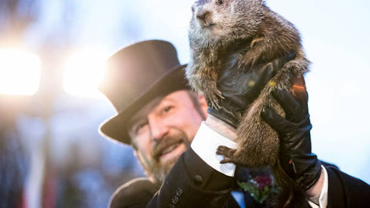 Мармотът Фил предсказа, че пролетта ще настъпи рано