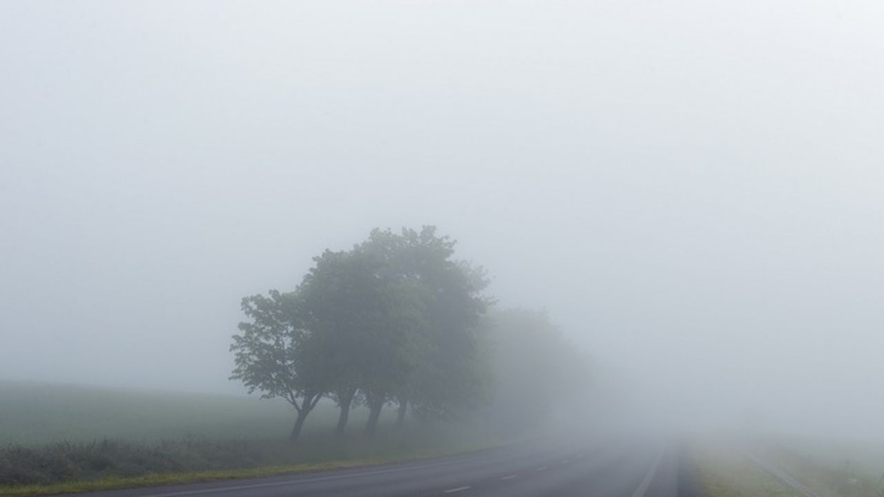 Мъгла затруднява движението по АМ "Струма" в участъка при Сандански