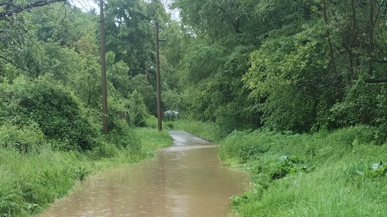 Река Батънска е излязла от коритото си, съобщават потребители във