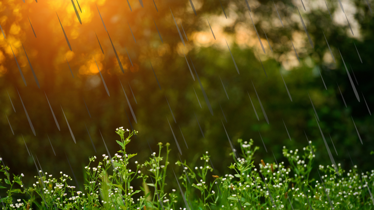 През последните дни температурите в страната надхвърлиха 35 градуса. Според