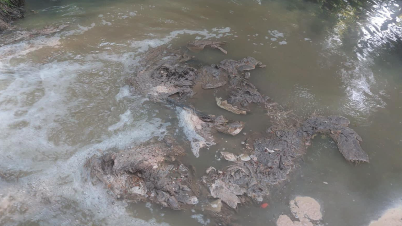 За екологична катастрофа в парк “Въртопо съобщиха читатели на Това