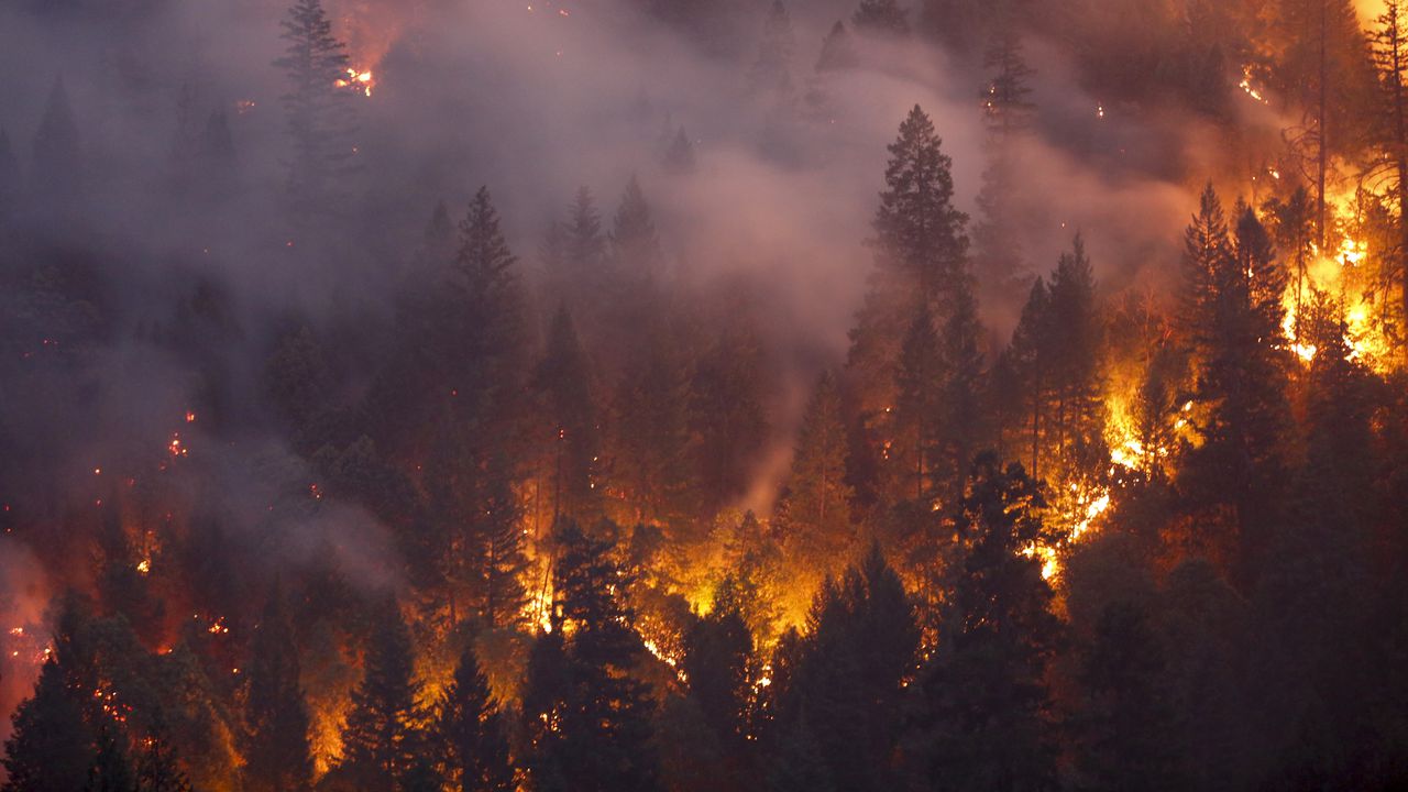 Три са активните горски пожари в Албания