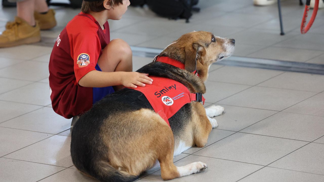 Летище Васил Левски“ в София и фондация Четири лапи“ организираха