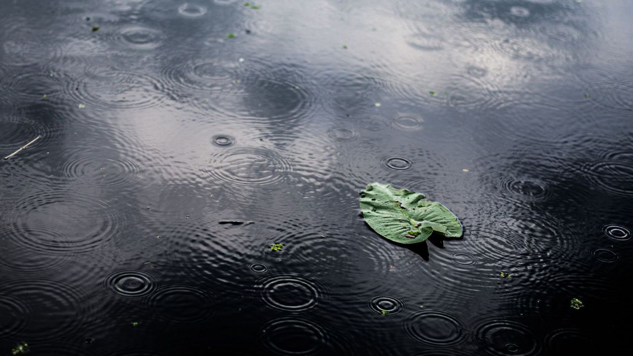 Максималните температури ще бъдат между 14° и 19°, в София