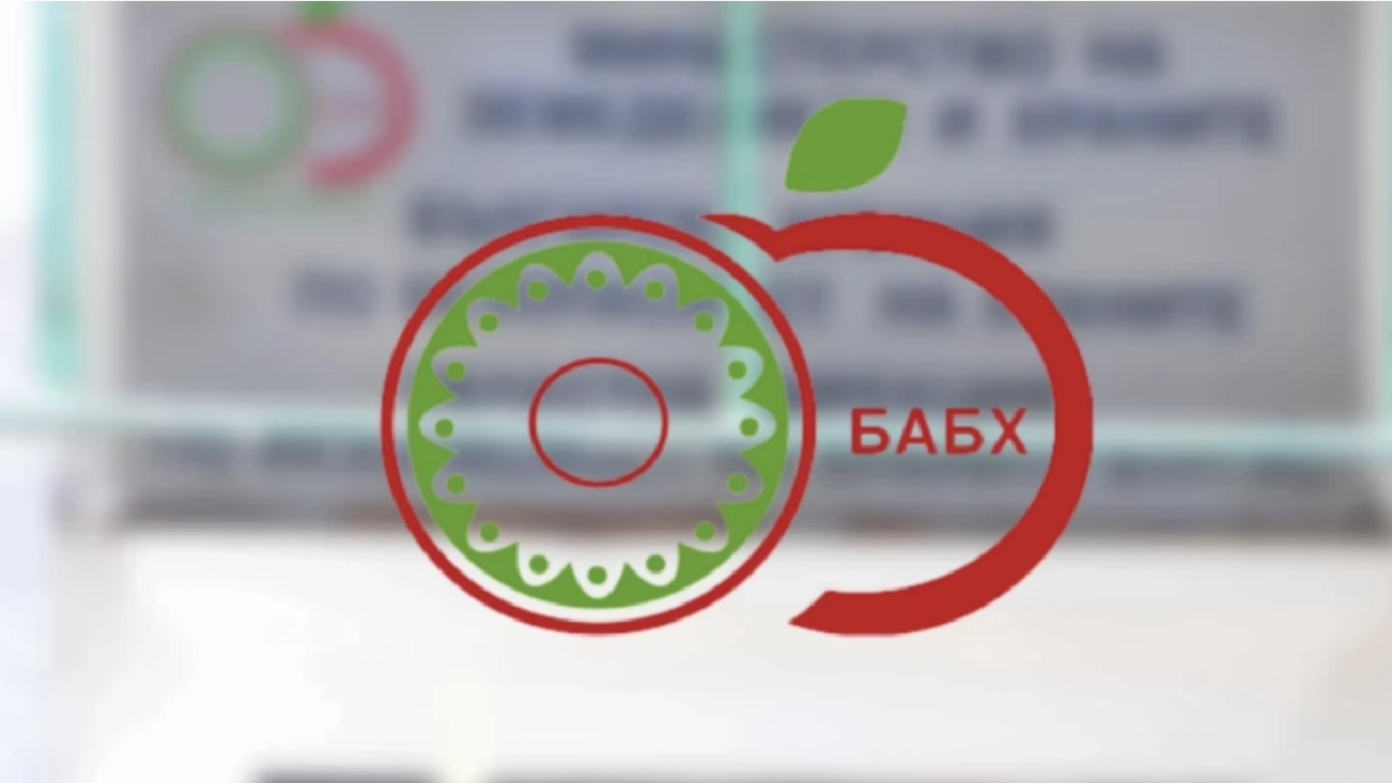 С приетия акт се регламентира единствено превалутирането в евро на