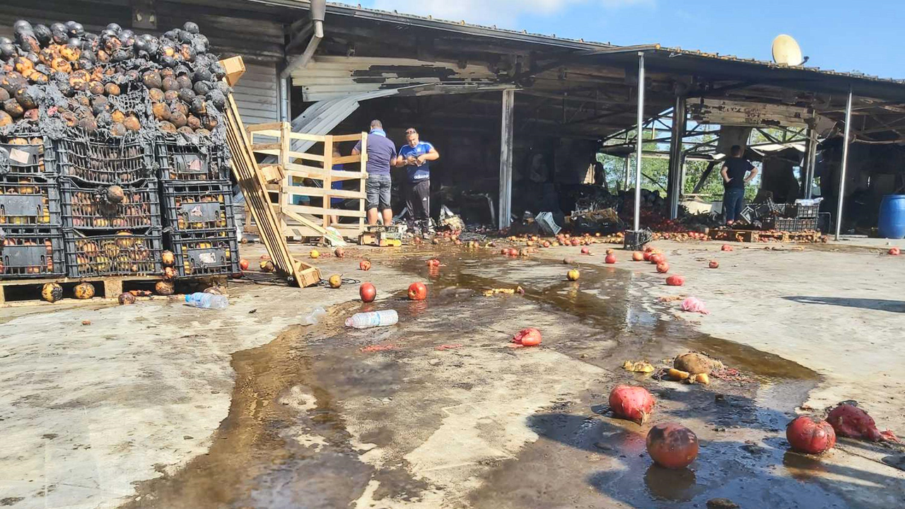Отново пожар в зеленчуковата борса в село Кърналово