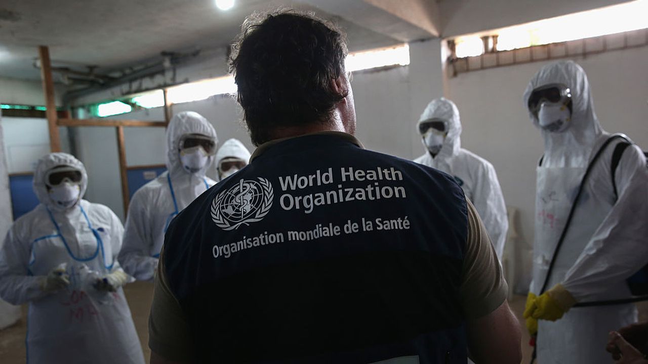 От СЗО сериозно се разтревожиха за разпространението на Нипа