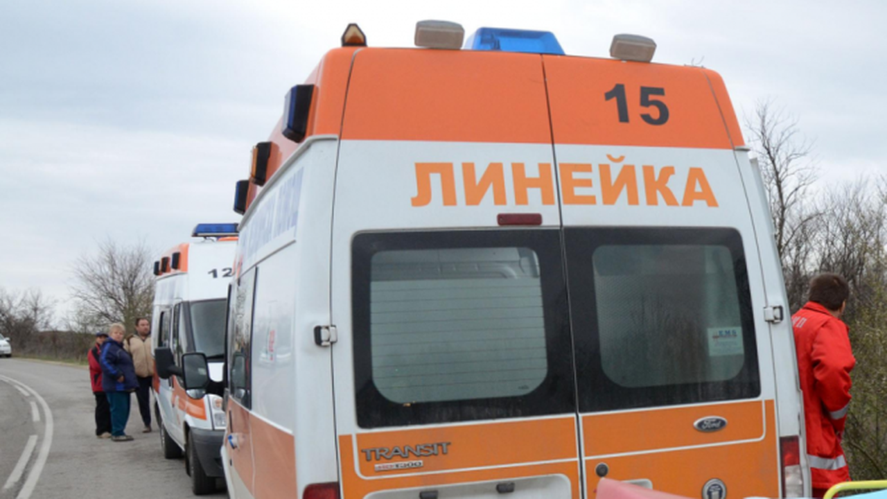 Бургазлийка помете 26-годишна жена на зебра и избяга