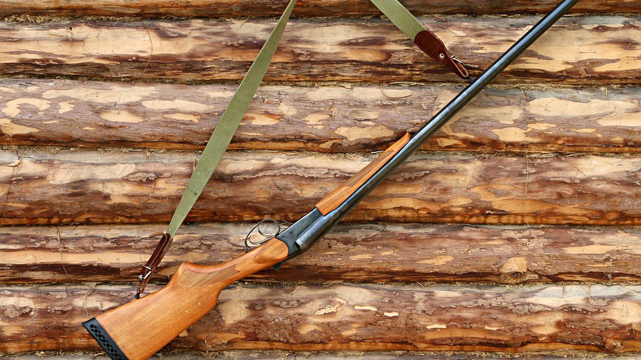 Мъж уби куче във Видинско, друг крава край Банско