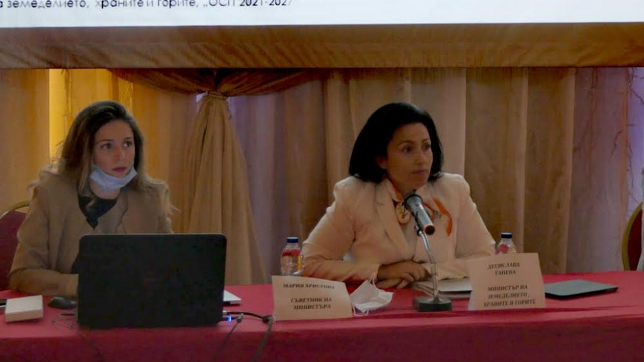 Министър Танева с добри новини за всички земеделски стопани с пропаднали площи под 80% заради сушата