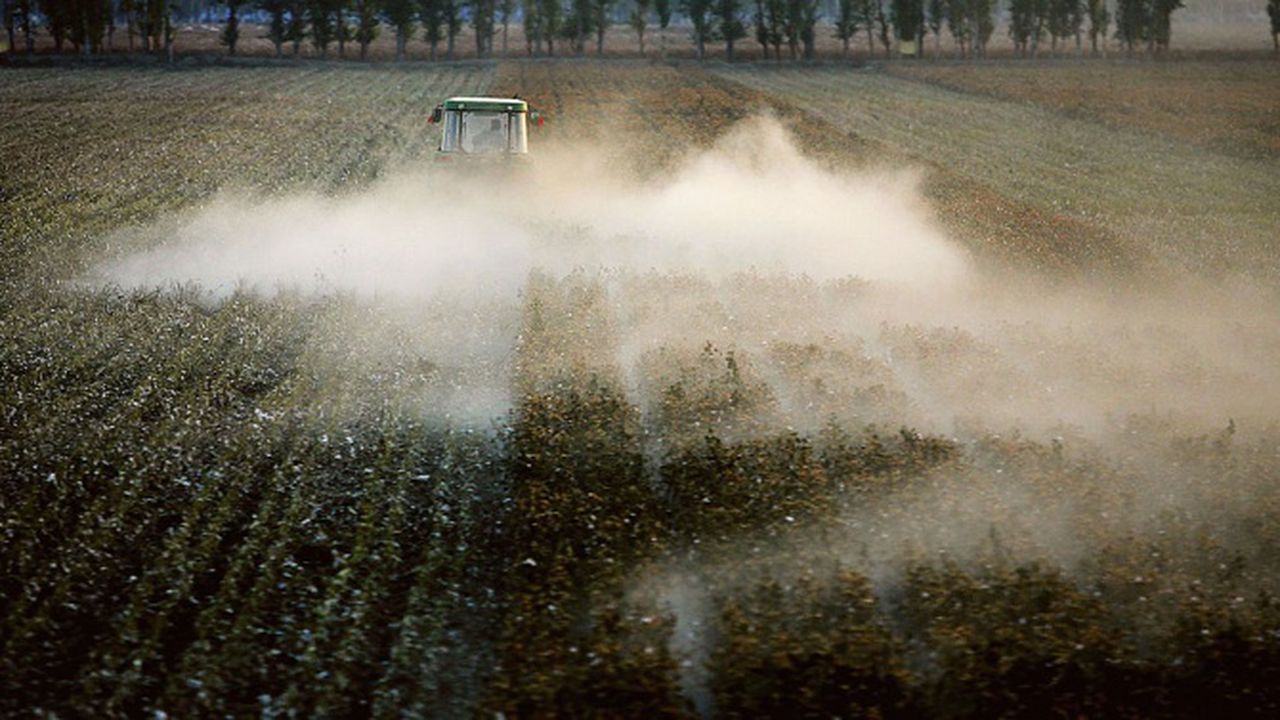 Китай е обвинен, че е принудил 570 000 души в Синцзян да берат памук