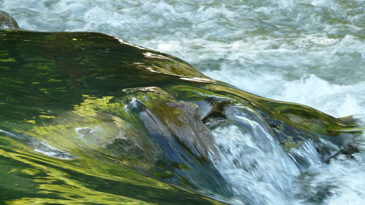 ВАП възложи  проверка за замърсяване на водите на река Марица