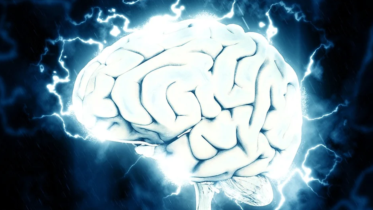 Липсата на гравитация променя мозъците