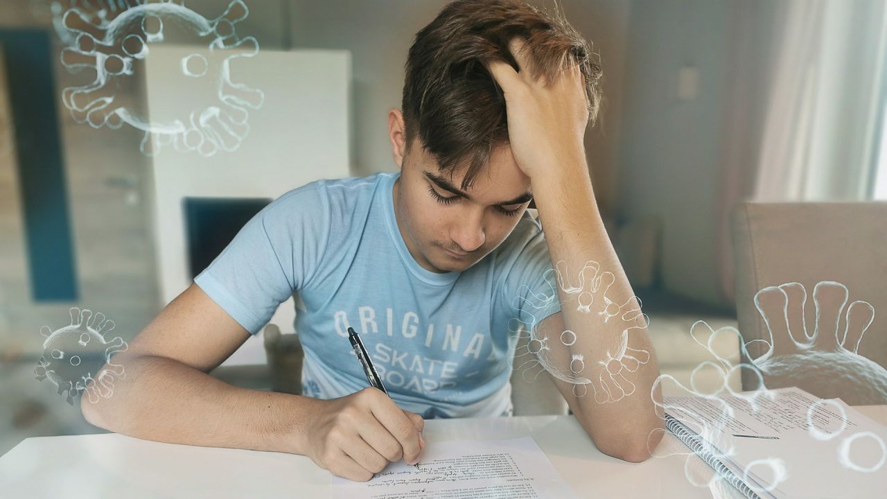 COVID-19 в ясла и училища в Ловешко