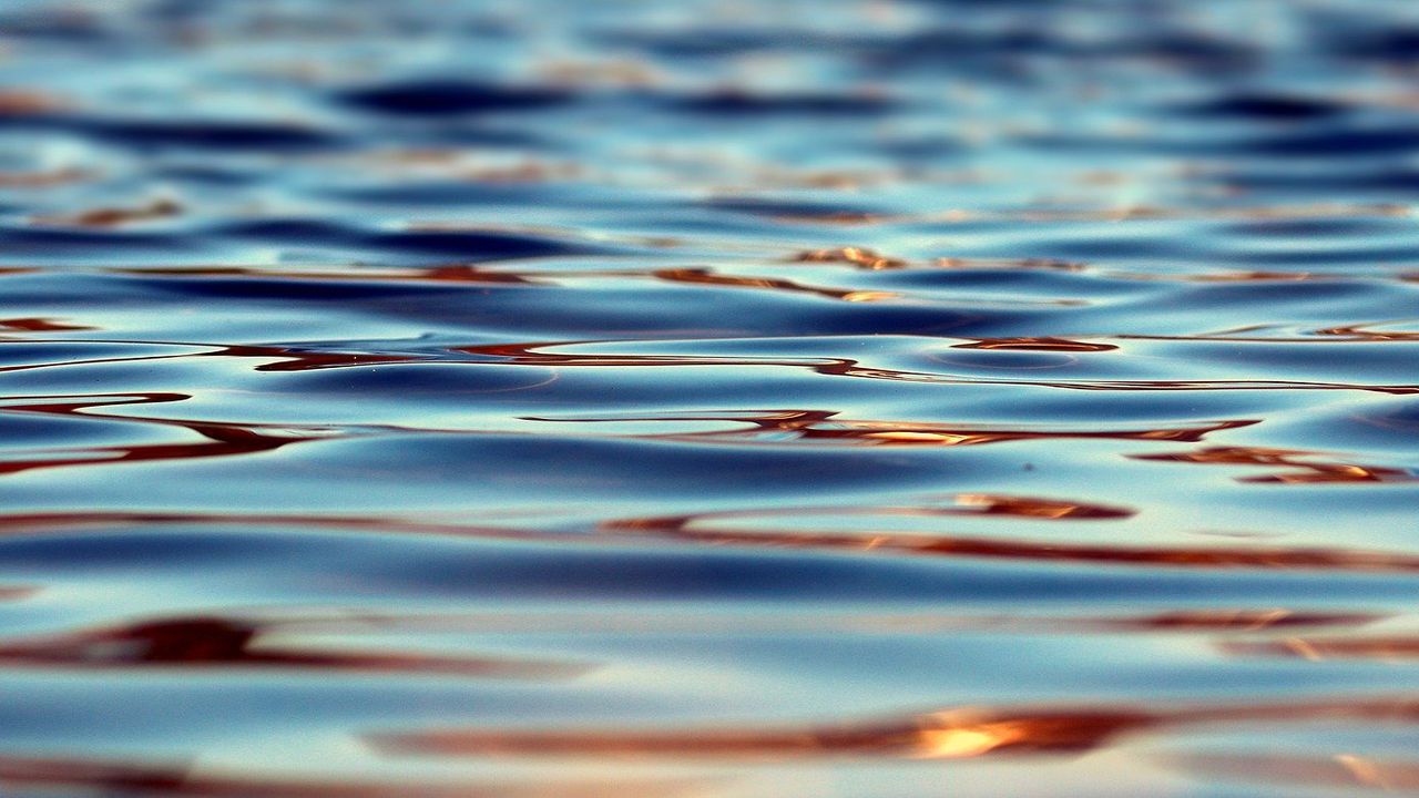 Деца от варненско село спасиха самоубиец