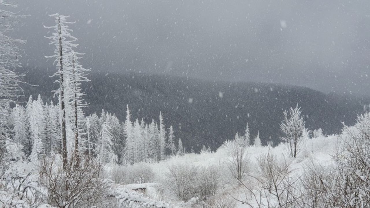 Хора с увреждания и доброволци ще изкачат Черни връх през март
