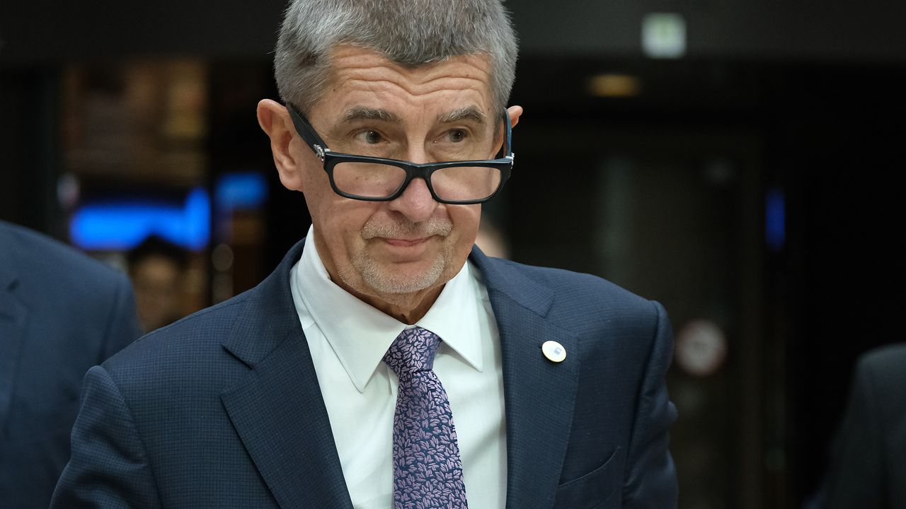 Чешки министър нарече премиера Бабиш дебил