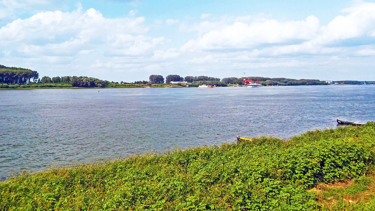 Вандал вилня в Дунавския парк на Силистра, полицията го арестува