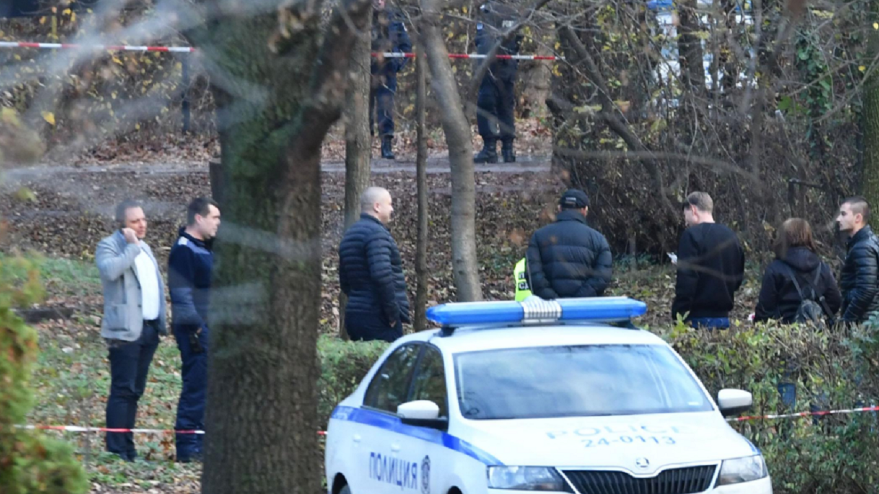 Бум на дръзките нападения спрямо горски служители