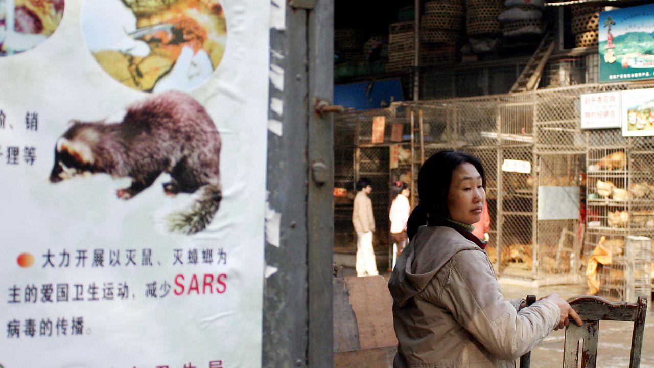 СЗО поиска забрана на пазарите за животни в Китай