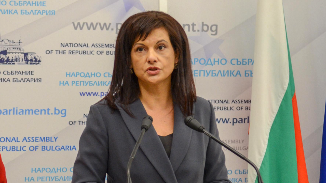 Д-р Дариткова: Какъв проблем ще се реши, ако болниците не  са търговски дружества?