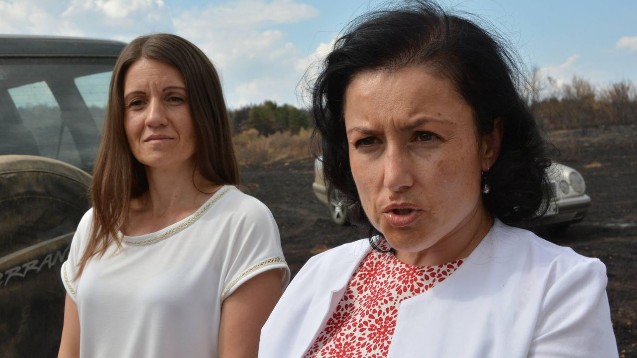 Над 23 000 земеделски стопани са кандидатствали по извънредната подмярка COVID-19