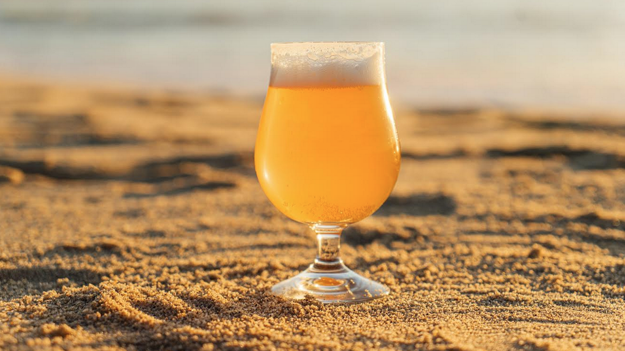 Бирата съдържа пробиотици и мотивира спортуването