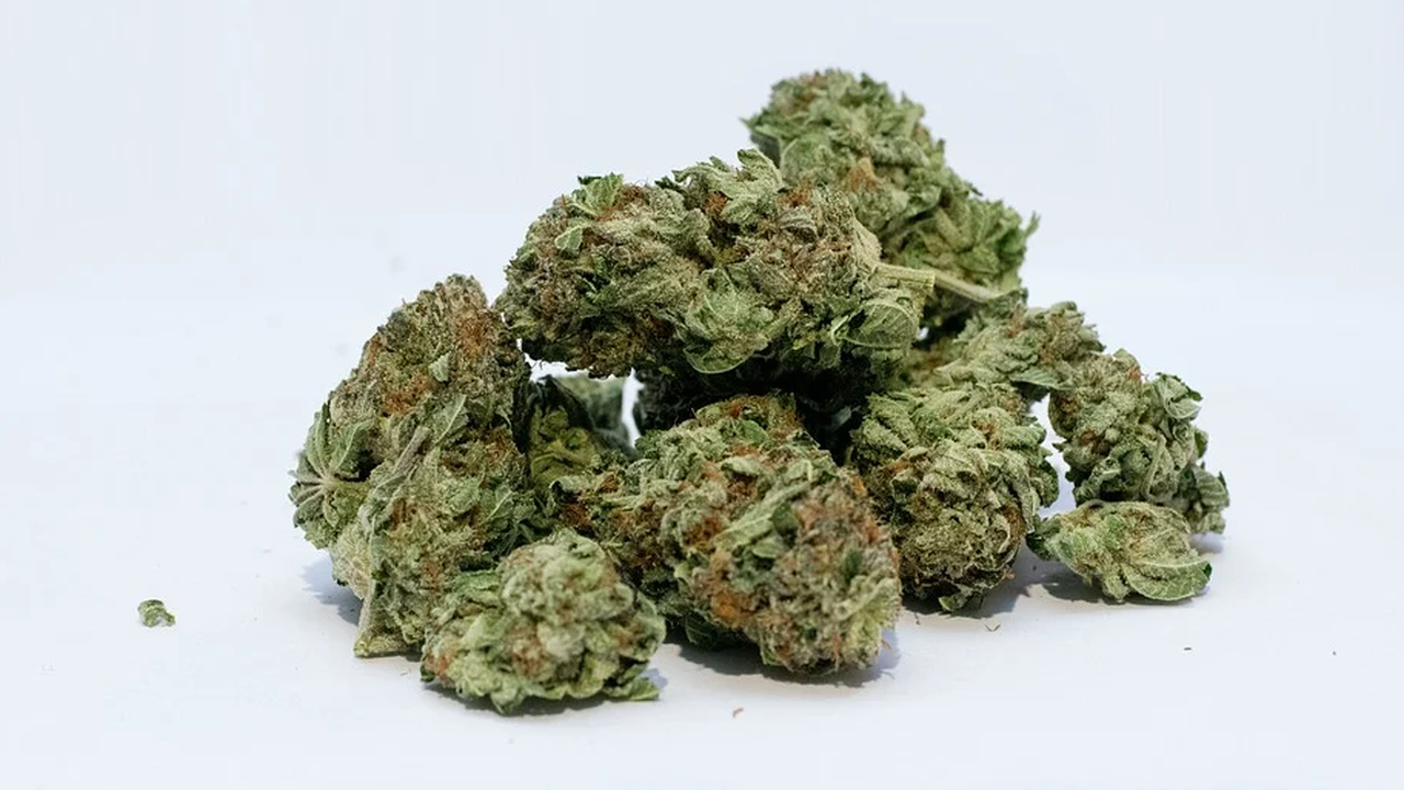 Сливенският съд задържа под стража двама мъже за разпространение на марихуана