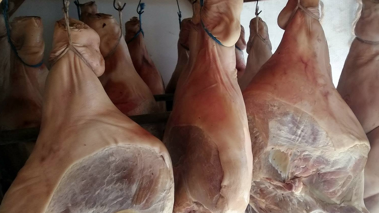 В Елена тази есен няма да има празник на еленския бут