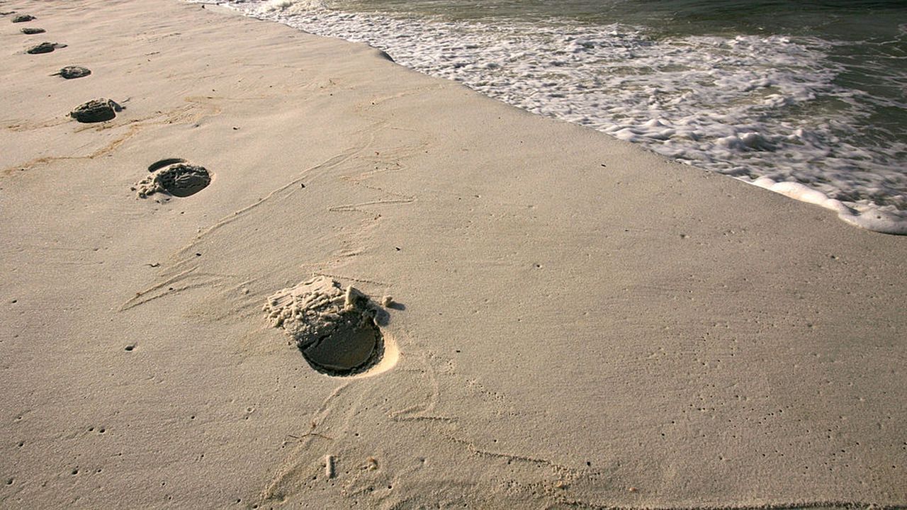 Момиче се удави в морето в първия ден, в който къпането бе разрешено