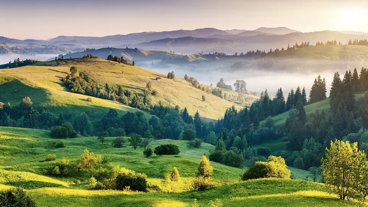 Опазването на защитени територии и зони обсъдиха МОСВ и неправителствени организации