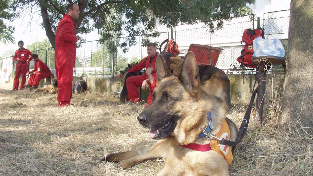 12-часова спасителна акция в Пирин