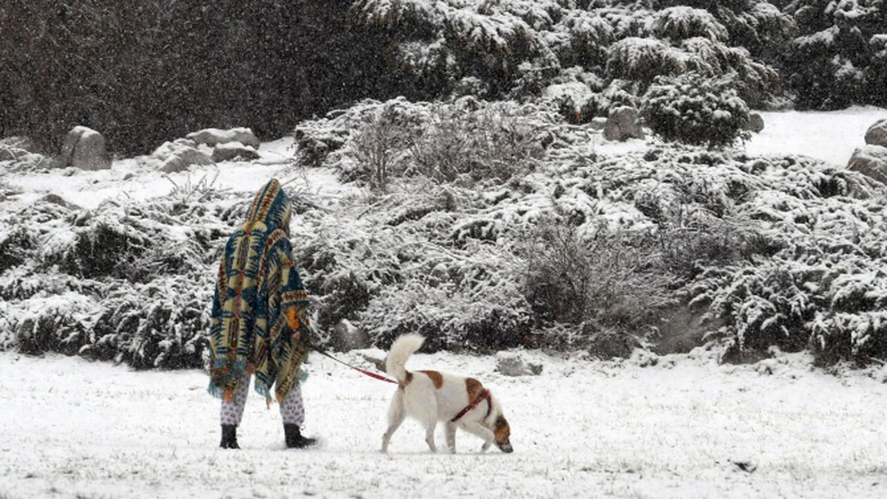 Зимата се завърна. Кога ще спрат валежите?