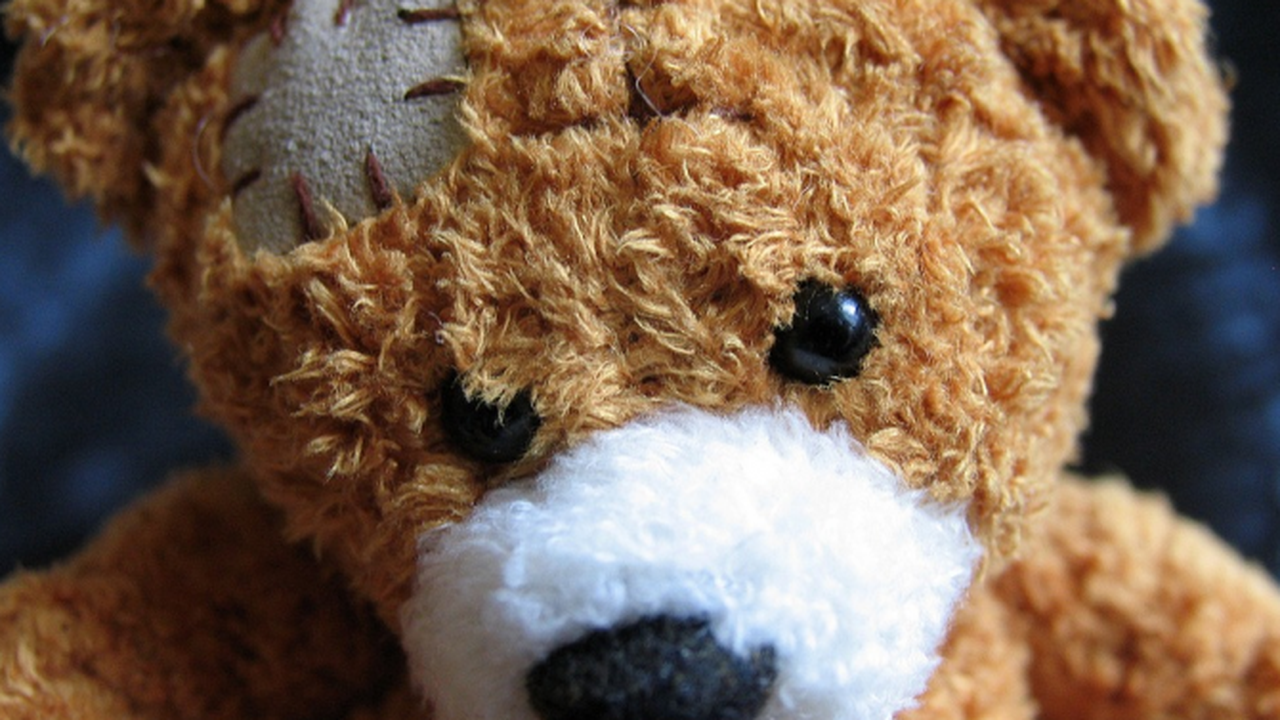 В Япония поправят плюшени играчки в специализирана поликлиника