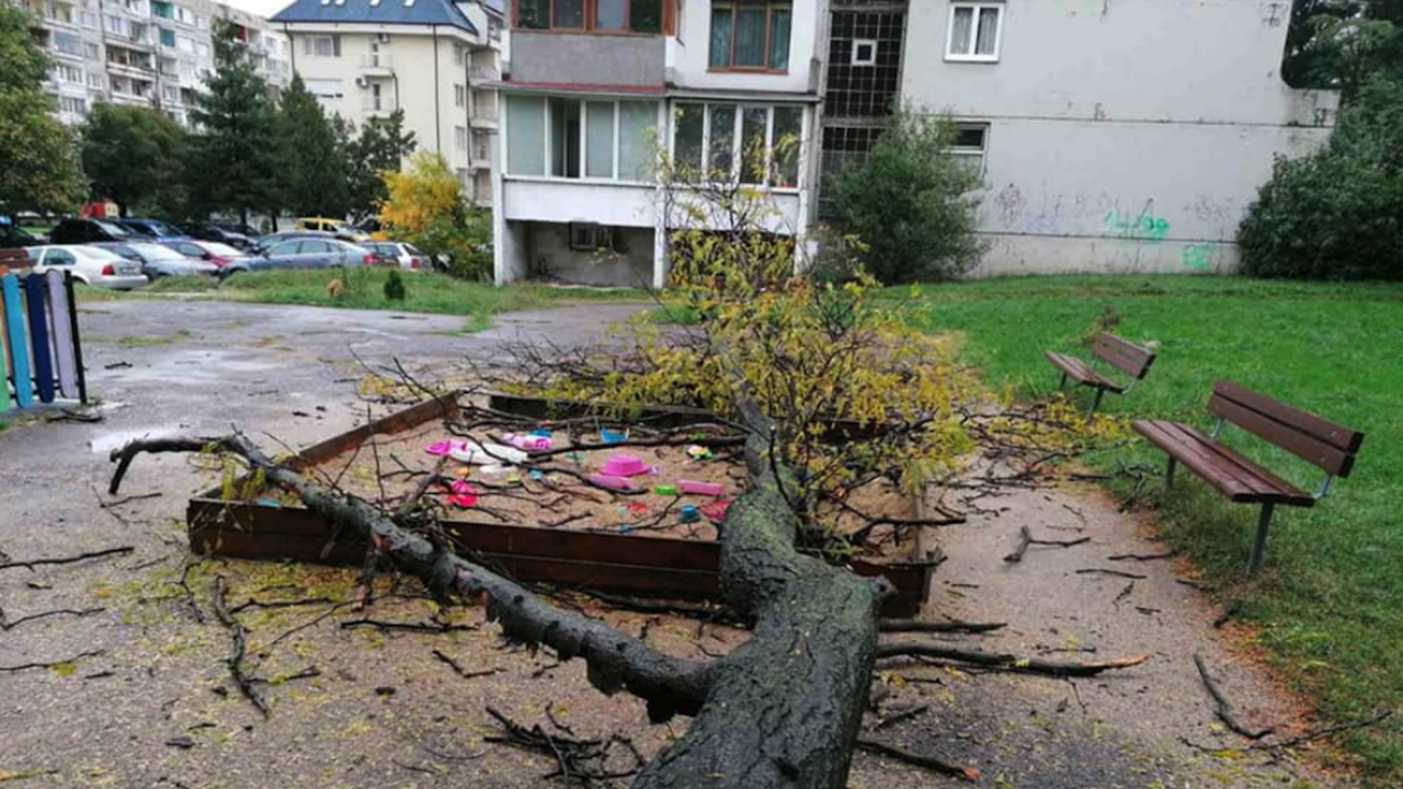 Дърво падна върху детска площадка, по чудо няма пострадали